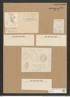 Campylodiscus ? cocconeiformis Grun. (de-Toni-Nr.: Genus 57, Species 2451) Zeichnungen Sammlung Grunow Nr. 4934 (NHMW-BOT-W0373146)